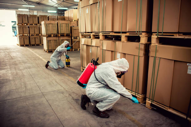 Best Affordable Pest Control Services  in Port Barrington, IL