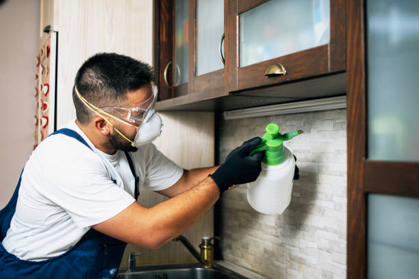 Best Best Pest Control Companies  in Port Barrington, IL