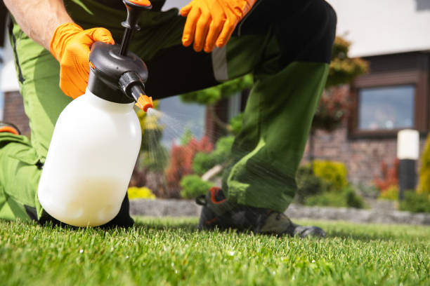 Best Insect Control  in Port Barrington, IL