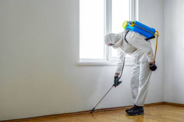Best Affordable Pest Control Services  in Port Barrington, IL