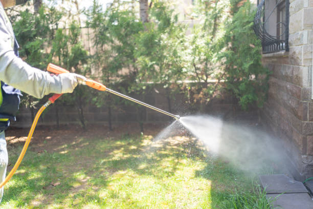 Best Wasp Removal Services  in Port Barrington, IL