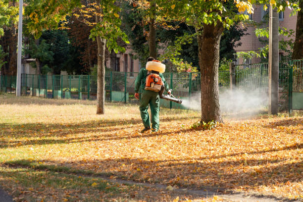 Best Pest Inspection Near Me  in Port Barrington, IL