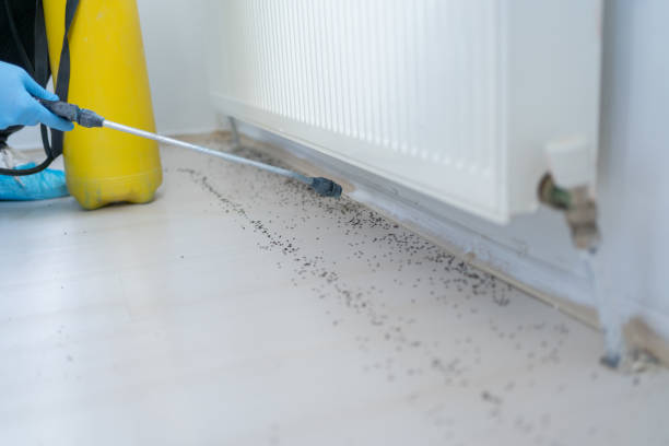 Best Exterminator Services  in Port Barrington, IL