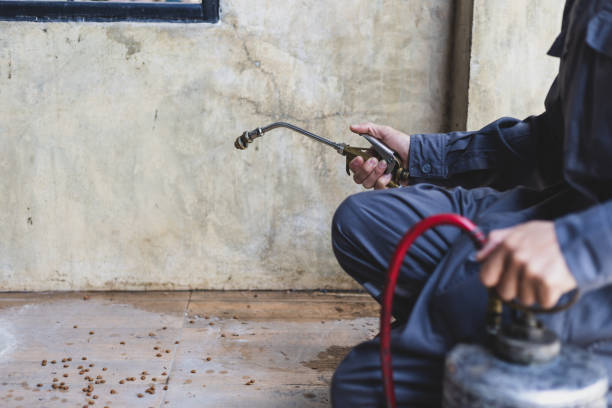 Best Wasp Removal Services  in Port Barrington, IL
